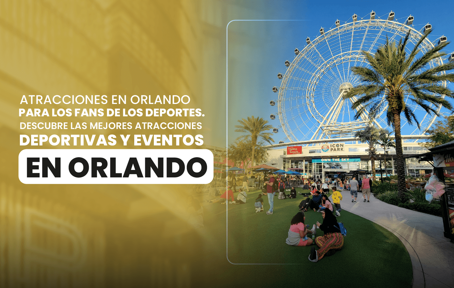 Atracciones en Orlando para los fans de los deportes. Descubre las mejores  atracciones deportivas y eventos en Orlando.